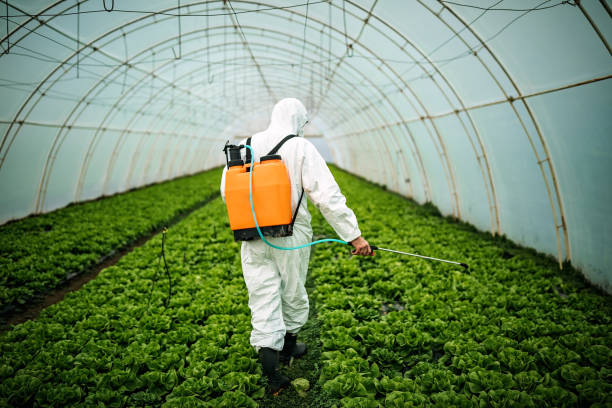 Best Commercial Pest Control Services  in Evans City, PA
