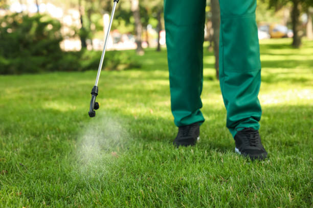 Best Emergency Pest Control  in Evans City, PA