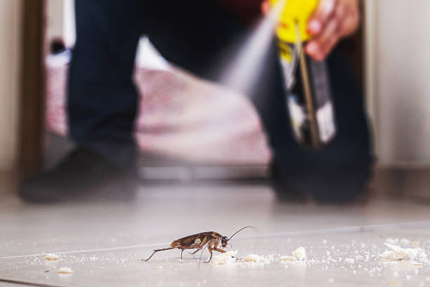 Best Commercial Pest Control Services  in Evans City, PA