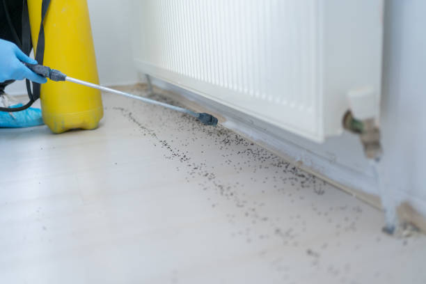 Best Pest Prevention Services  in Evans City, PA